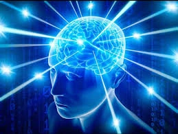 MemoryFuel long-term brain support result 3